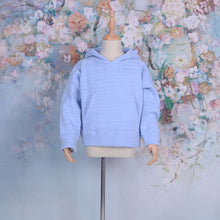 Cargar imagen en el visor de la galería, Kids Little Boys Little Girls Multiple Colors Kangaroo Pocket Hoodie