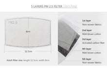Load image into Gallery viewer, Stock PM2.5 Anti-dust Filter Face Mask Protective Dust Reusable Fashion Sequin Dust Mouth Mask Outdoors