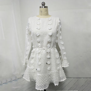 Jacquard Belted Long Sleeve Mini Dress