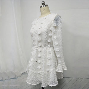Jacquard Belted Long Sleeve Mini Dress
