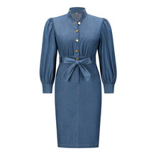 Load image into Gallery viewer, 2022 Autumn Winter Standard Collar Long Sleeve Denim Plus Size Vintage Casual Dress
