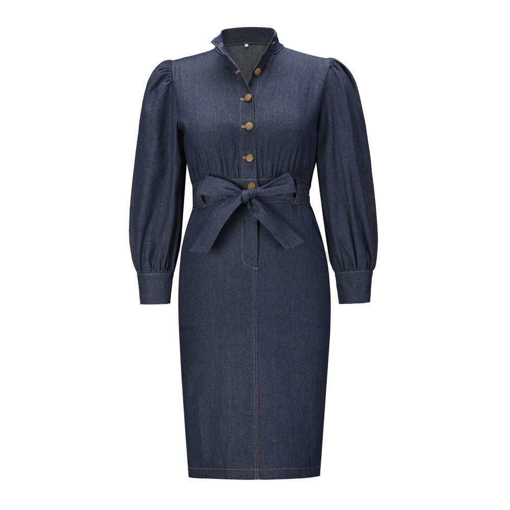 2022 Autumn Winter Standard Collar Long Sleeve Denim Plus Size Vintage Casual Dress