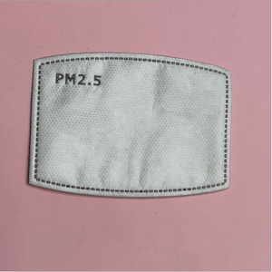 PM 2.5 Washable Recycle Cloth Mask Filter